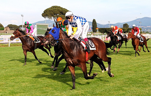 競馬ヘッダー.jpg